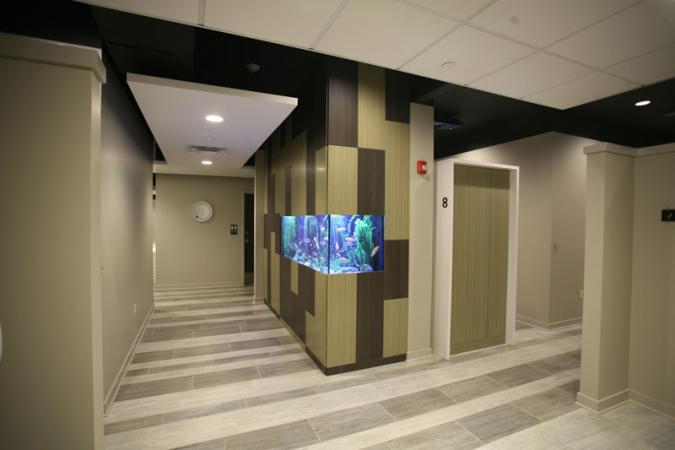 IMG1379